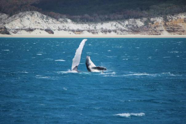 Mutter mit Sprössling