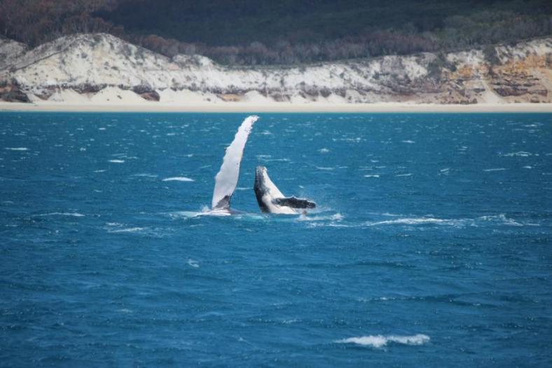 Mutter mit Sprössling