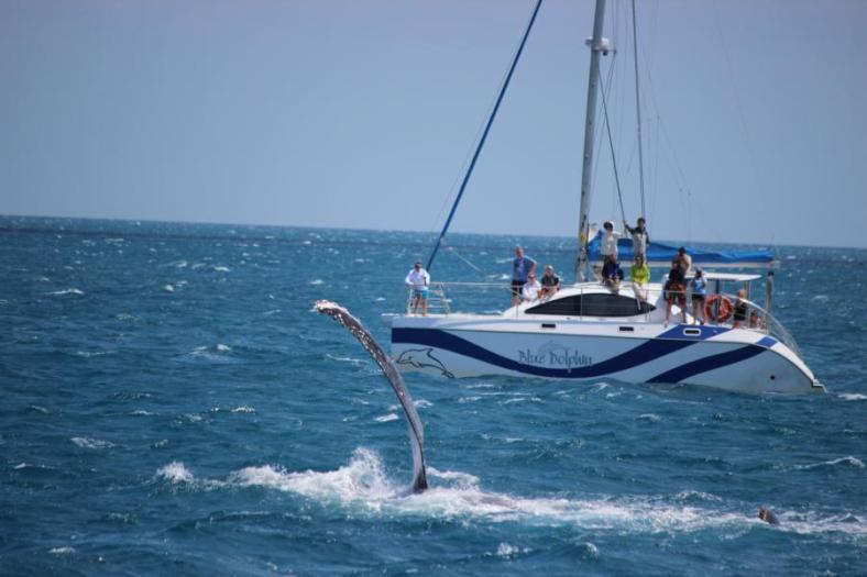 Wir sind nicht alleine, Interessant der Größenvergleich