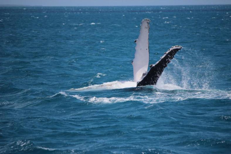 Mummy hat auch Spass