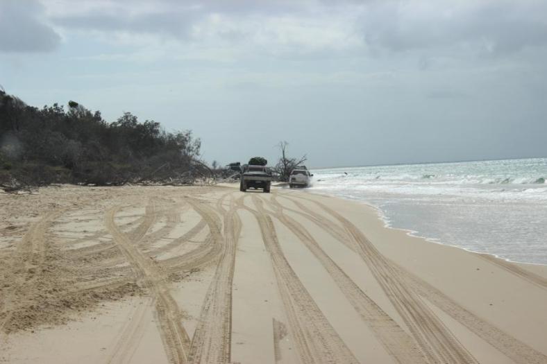 Erste Meter auf Fraser Island. Dass kann ja lustig werden...