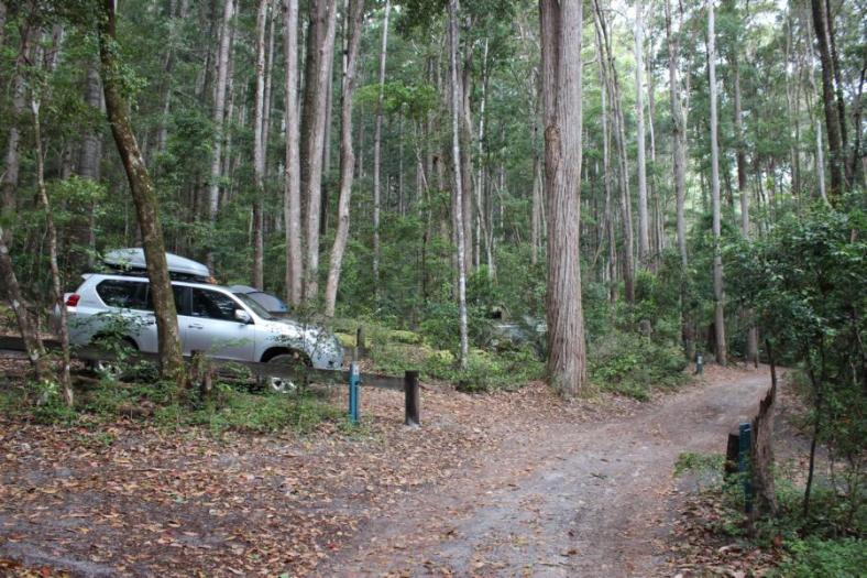 Campingplatz Central Station Fraser Island