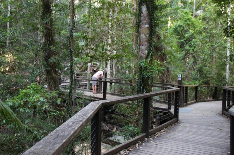 Wanggoolba Creek, Fraser Island