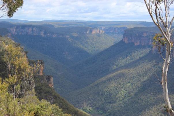 Anvil Rock, Blue Mountains
