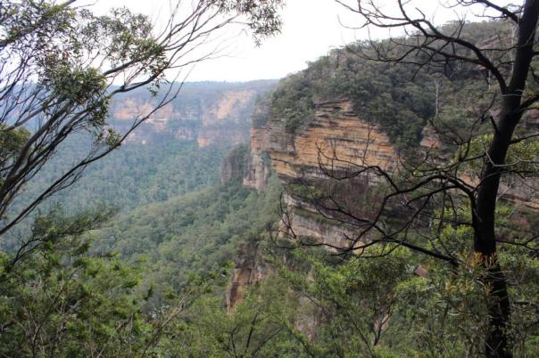Blick ins Valley of the Waters, National Pass, Blue Mountains