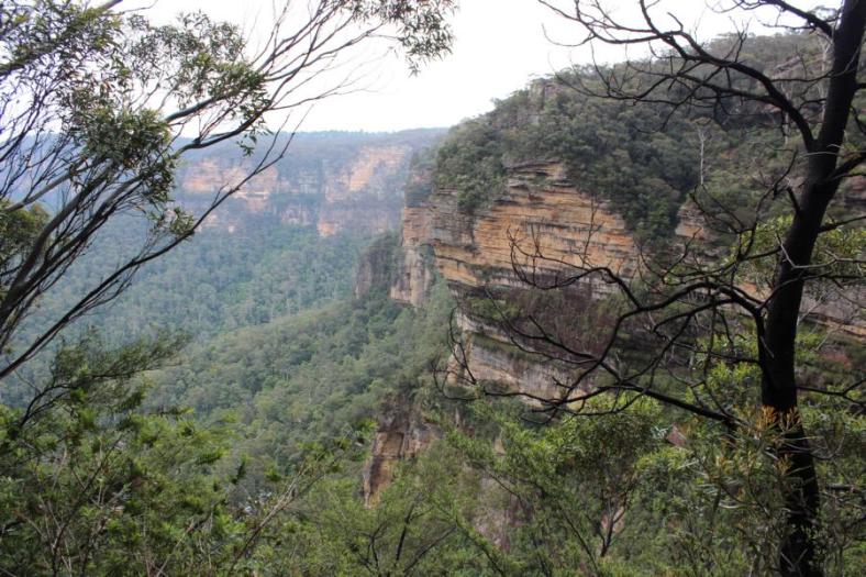 Blick ins Valley of the Waters, National Pass, Blue Mountains