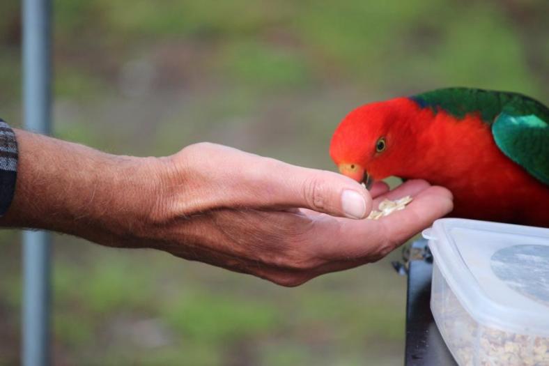 Na, die Oats schmecken doch