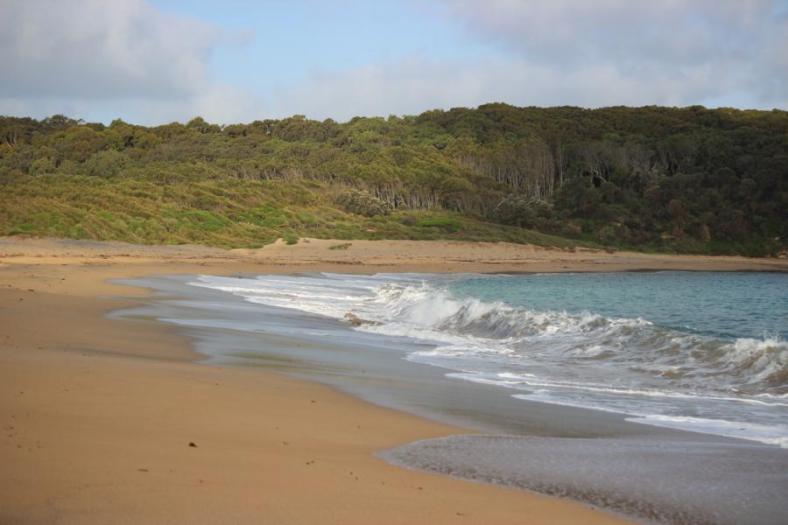 Im Wald liegt der Campingplatz, Nord Head bei Batemans Bay