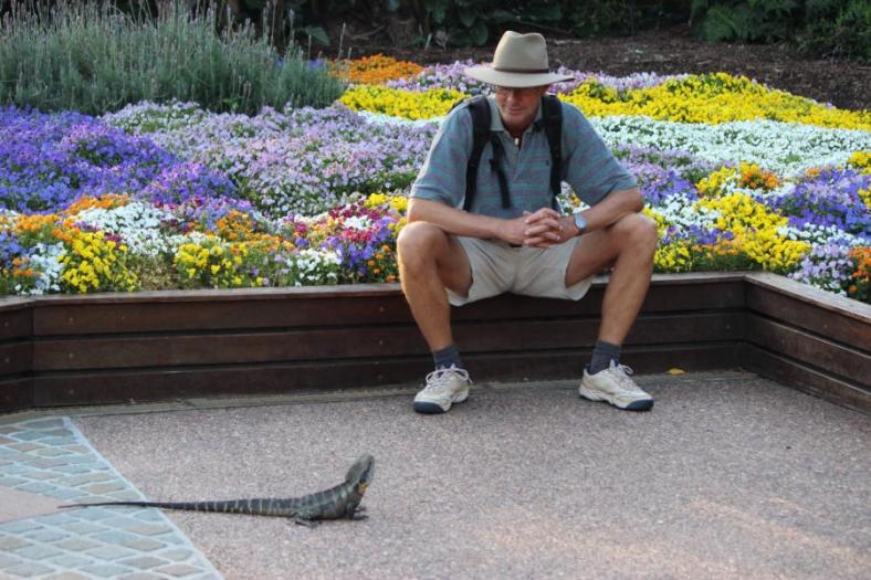 Na die zwei beäugen sich, Brisbane