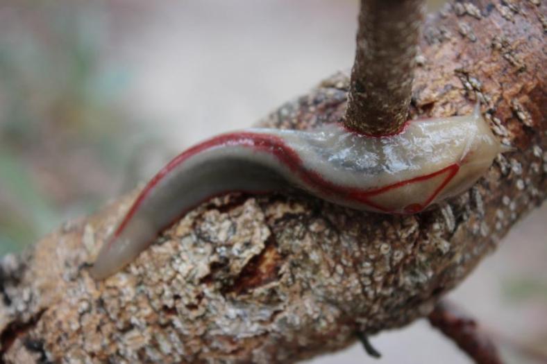 Nanu wer bist denn du....