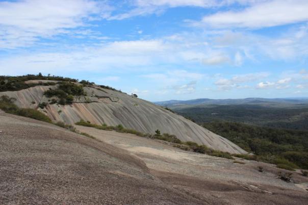 Bald Rock NP
