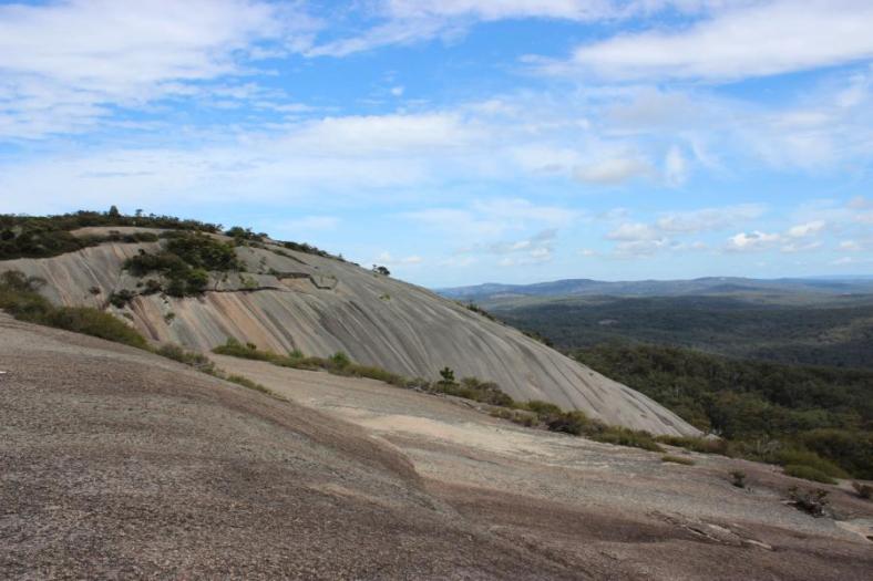 Bald Rock NP