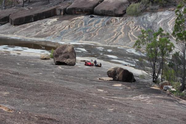 Junction, Girraween NP