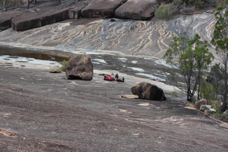 Junction, Girraween NP