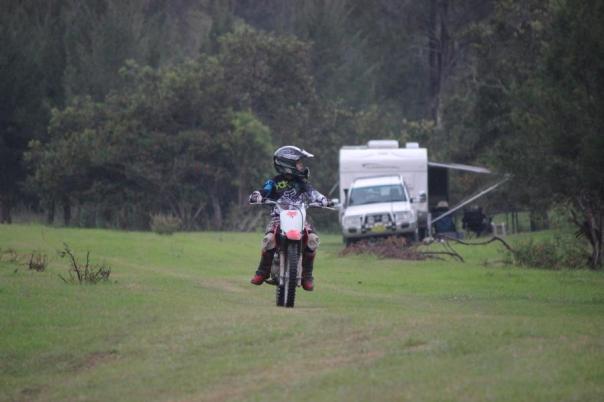Früh übt sich, Guy Fawkes River National Park