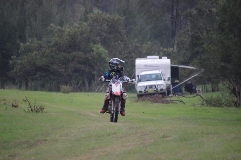 Früh übt sich, Guy Fawkes River National Park