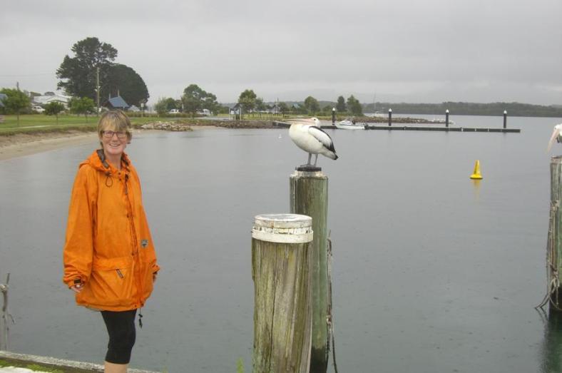 Er läßt sich nicht stören, Greenwell Point