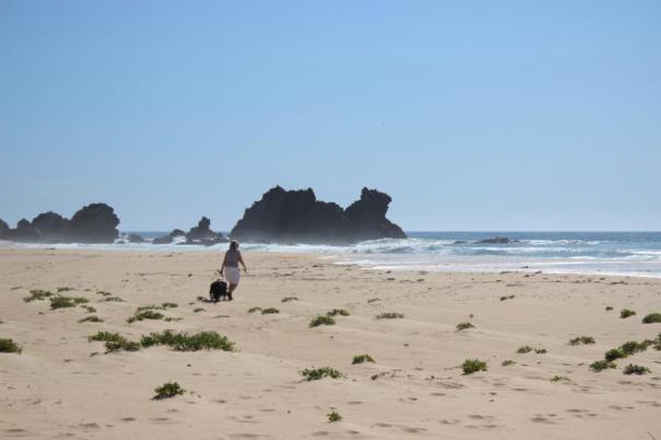Camel Rock, nörlich Bermagui