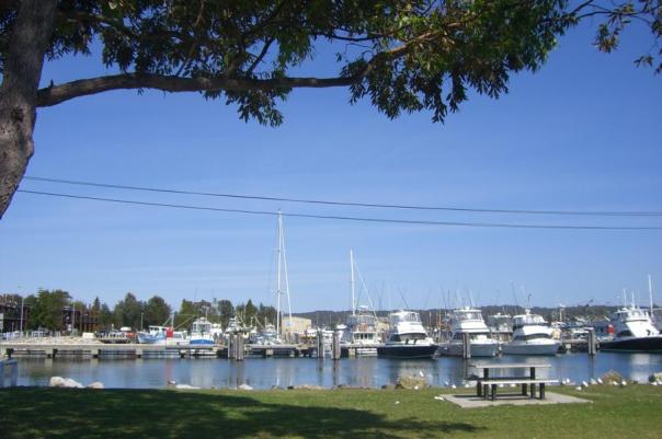 Hafen in Bermagui