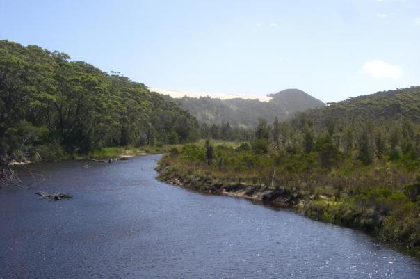 Sanddünen bei Point Hicks Marine National Park