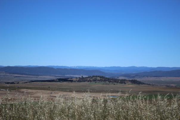 Da hinten spitzt doch nicht etwa Schnee...., auf dem Weg zum Kosciuszko National Park