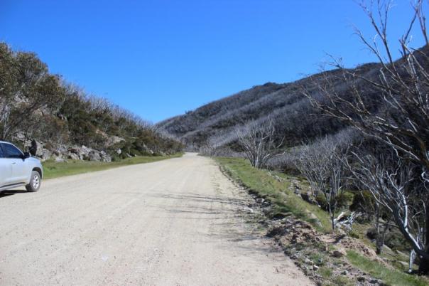 Hier wütete vor Jahren ein schwerer Waldbrand, Kosciuszko National Park