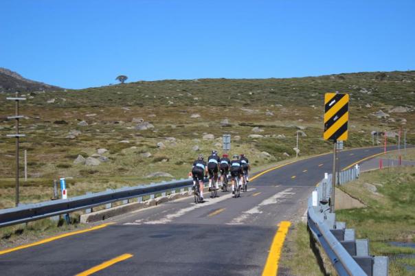 Wir wundern uns schon über die vielen Radfahrer hier oben, Kosciuszko National Park
