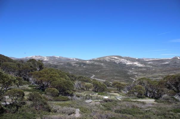 Blick auf dem Mount Kosciuszko, die flache Kuppe, hinten-mitte-links, Kosciuszko National Park
