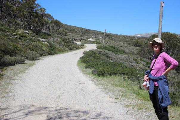 Auf geht's zum Mt. Kosciuszko, Kosciuszko National Park