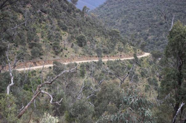 Auf Serpentinen ins Tal des Snowy Rivers