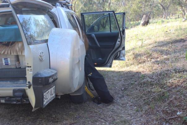 Unser kleiner Kompressor tut seine Arbeit gut