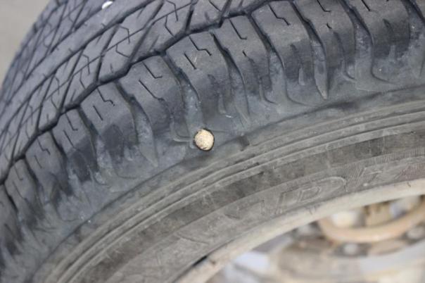 AU (11419) Das ist der Übeltäter