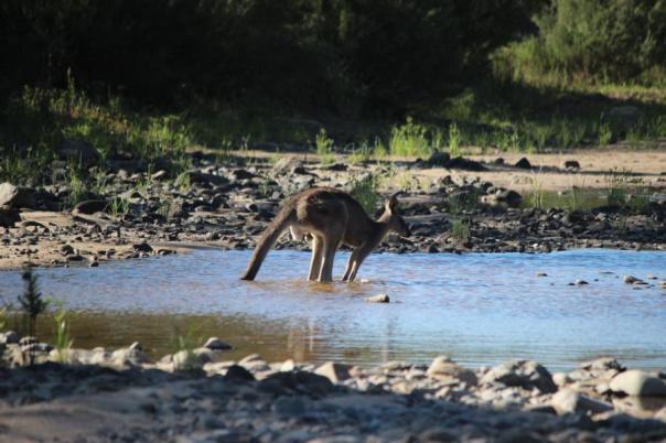 Nur nicht spritzen.....