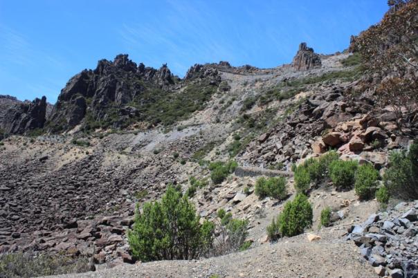 Da müssen wir mit Bruce hoch, Ben Lomond National Park