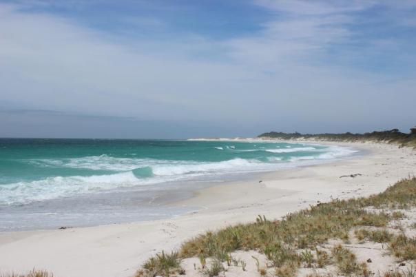 Mount William National Park