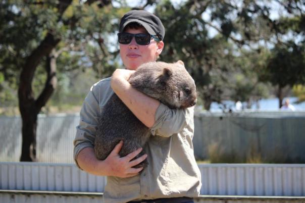Ganz schön schwer dieser Wombat, Natureworld