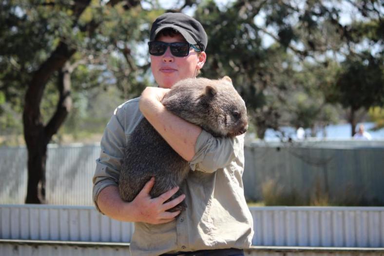 Ganz schön schwer dieser Wombat, Naturland