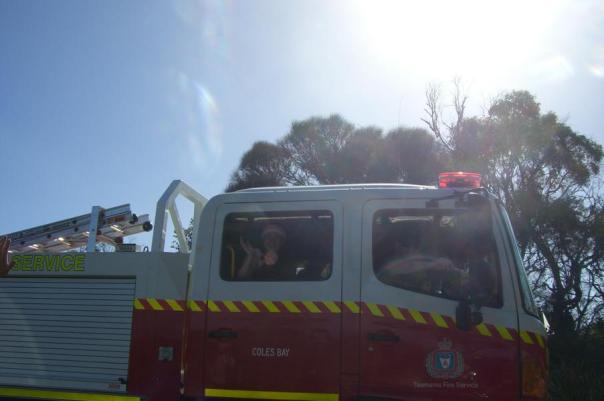 Welch eine Überraschung, Freycinet National Park