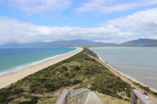 Blick vom Truganini Lookout auf südlichen Inselteil, Little Pinguin- kommen nachts von beiden Seiten aus dem Meer, Bruny Island