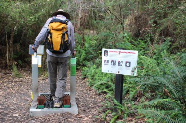Erst mal alle ungebetenen Gäste entfernen, Samen, Tiere ... , South Coast Track
