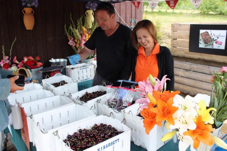 Die Kirschen sind lecker, Kirschsaison auf Tasmanien