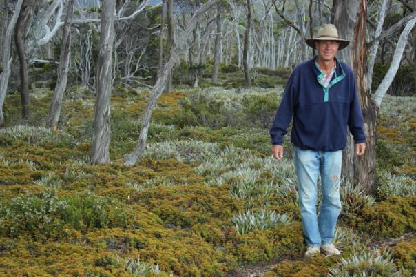Wombat Moor, Mount Field Nationalpark