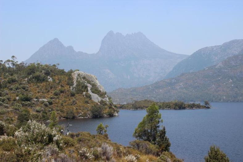 Dove Lake mit Cradle Mountain 1.545 m, Cradle Mountains - Lake St Clair NP