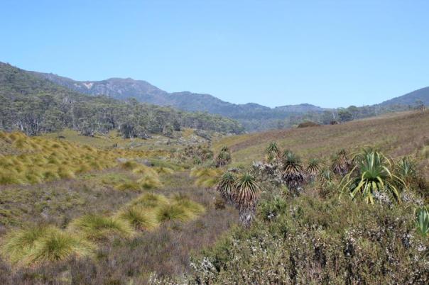 Overland Track, Cradle Mountains - Lake St Clair NP