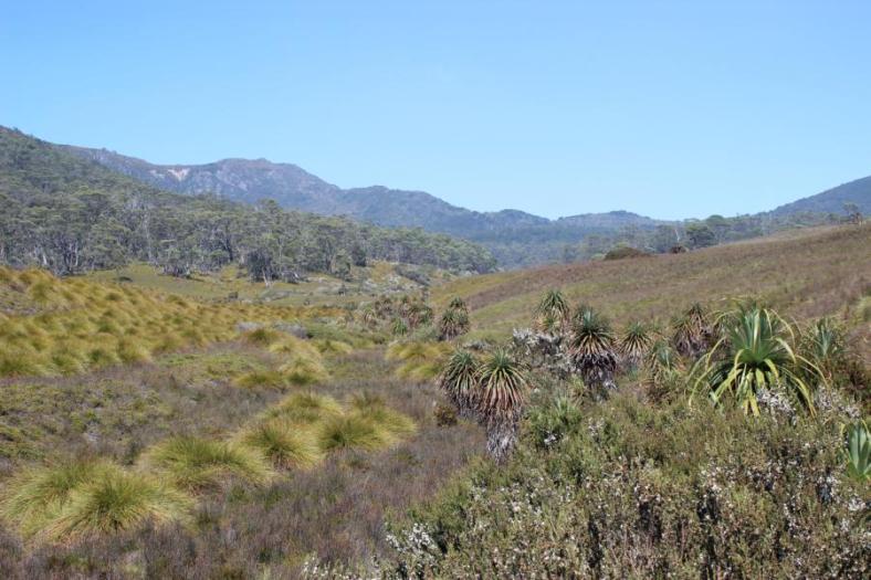 Overland Track, Cradle Mountains - Lake St Clair NP