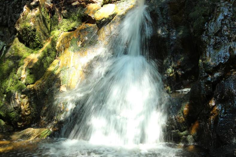 Overland Track, Cradle Mountains - Lake St Clair NP
