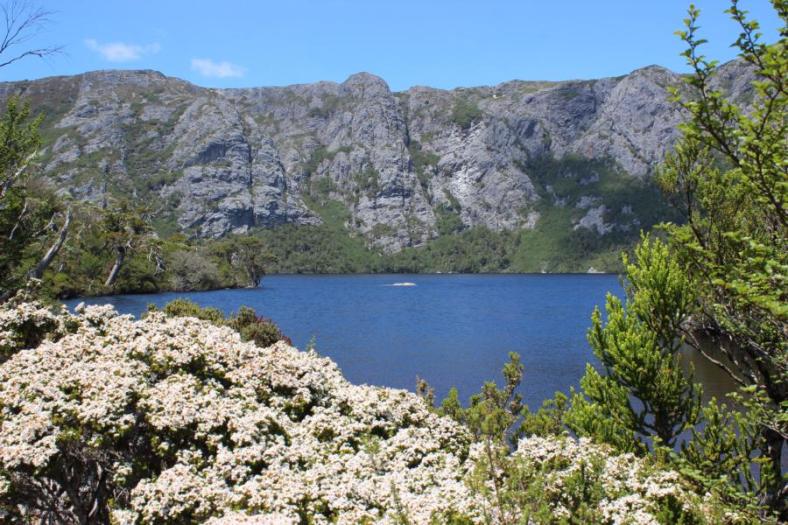 Crater Lake, Overland Track, Cradle Mountains - Lake St Clair NP