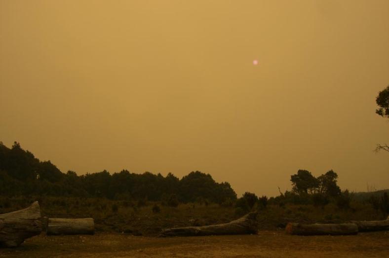 Der Smog vom Feuer verdunkelt den Himmel, Cradle Mountains - Lake St Clair NP