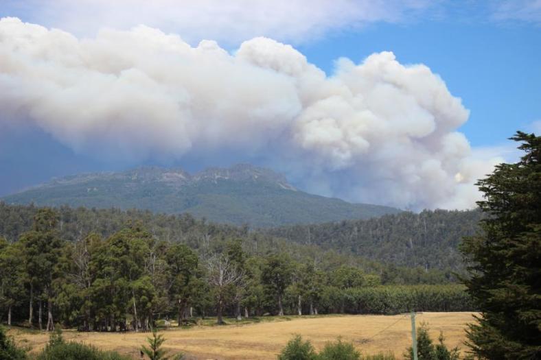 Waldbrände wüten in Tasmanien