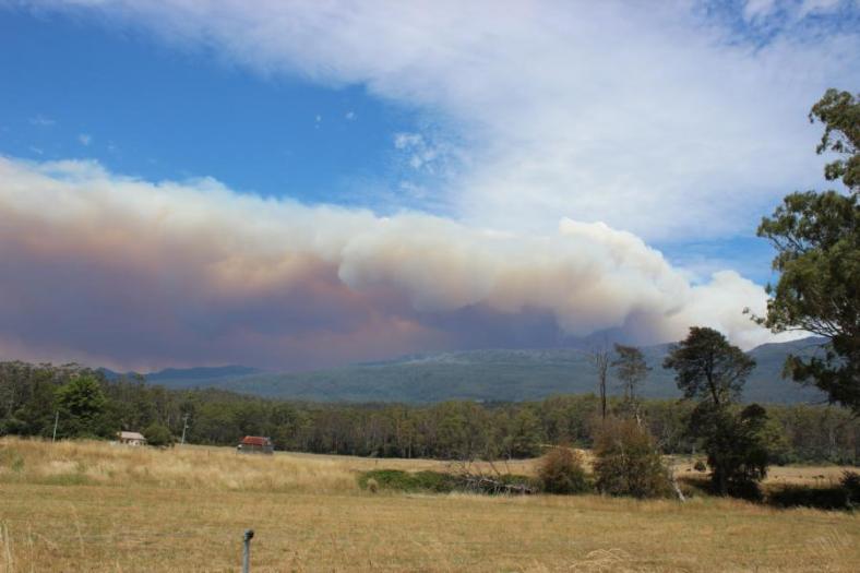 Waldbrände wüten in Tasmanien